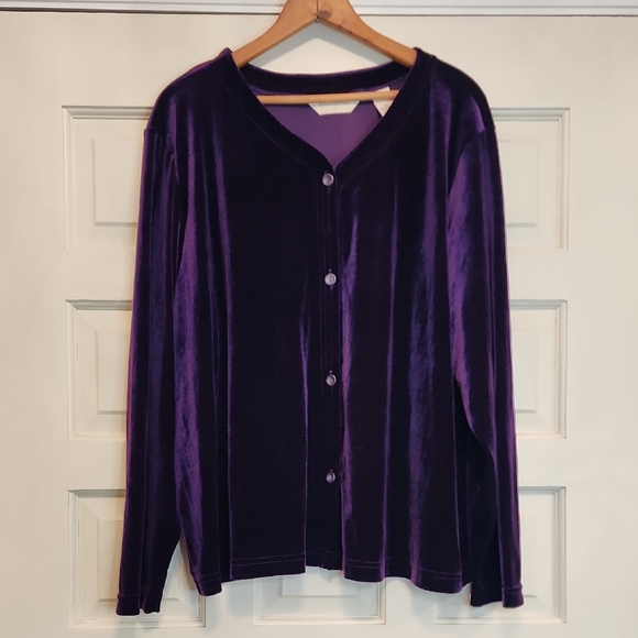 Bechamel Tops - BECHAMEL II NWT PURPLE VELVET V NECK BUTTON DOWN LONG SLEEVE Warm Vintage Top